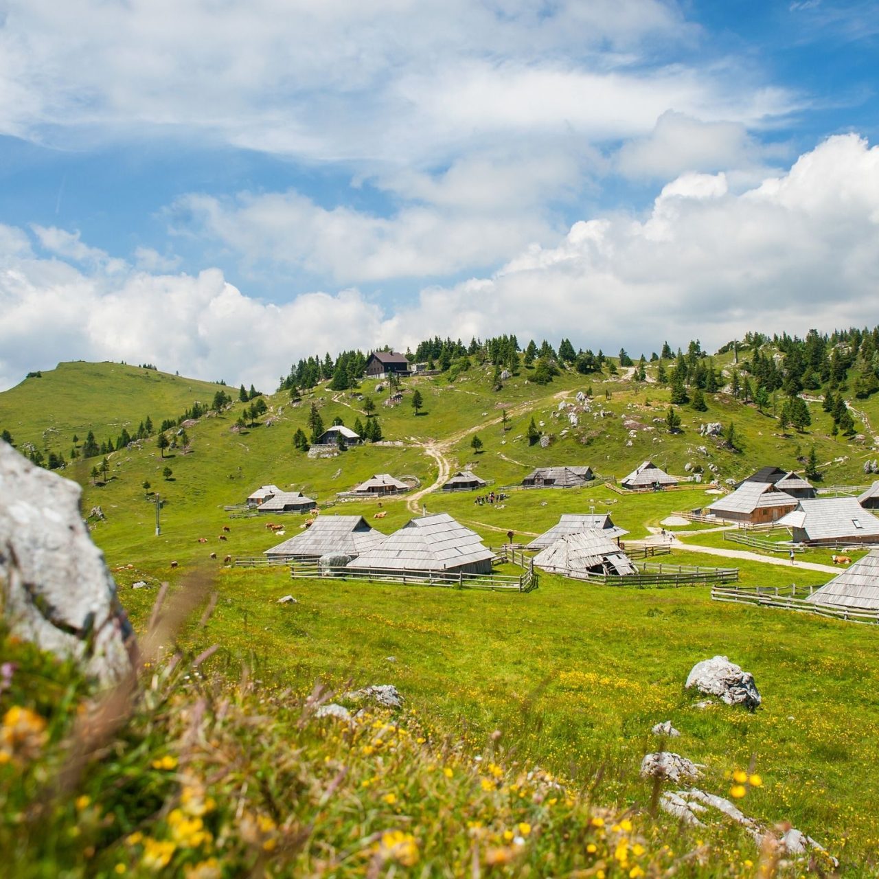Čudesni vrhovi Velike planine i tajne pastira
