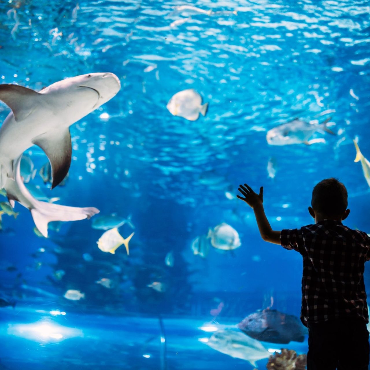 Obiteljski dan u Budimpešti