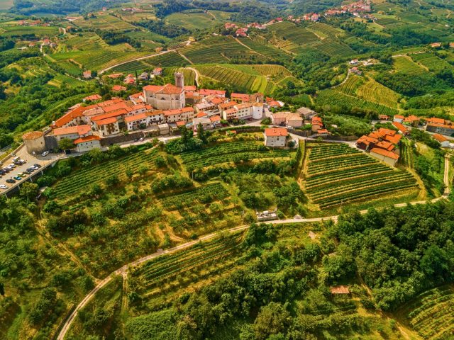 Slovenska provansa vinskim vlakom