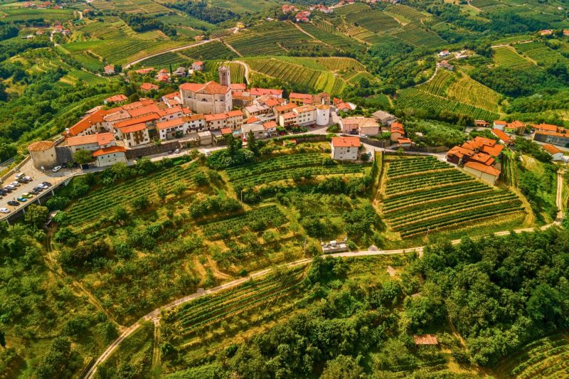 Slovenska provansa vinskim vlakom