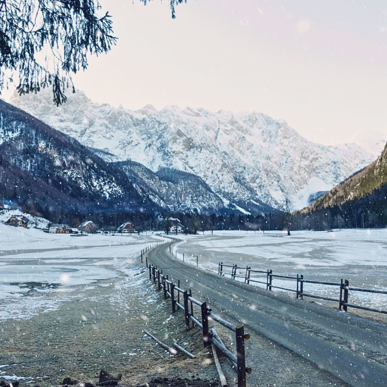 Snježni koraci kroz Logarsku dolinu