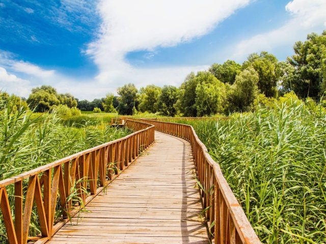 U zagrljaju rijeka: PP Kopački rit