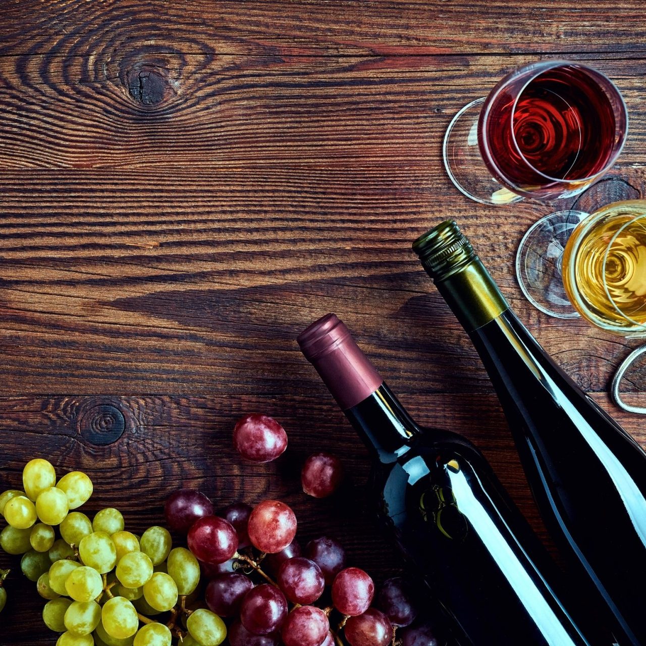 Jesen u vinogradima - Ilok