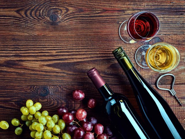 Jesen u vinogradima – Ilok