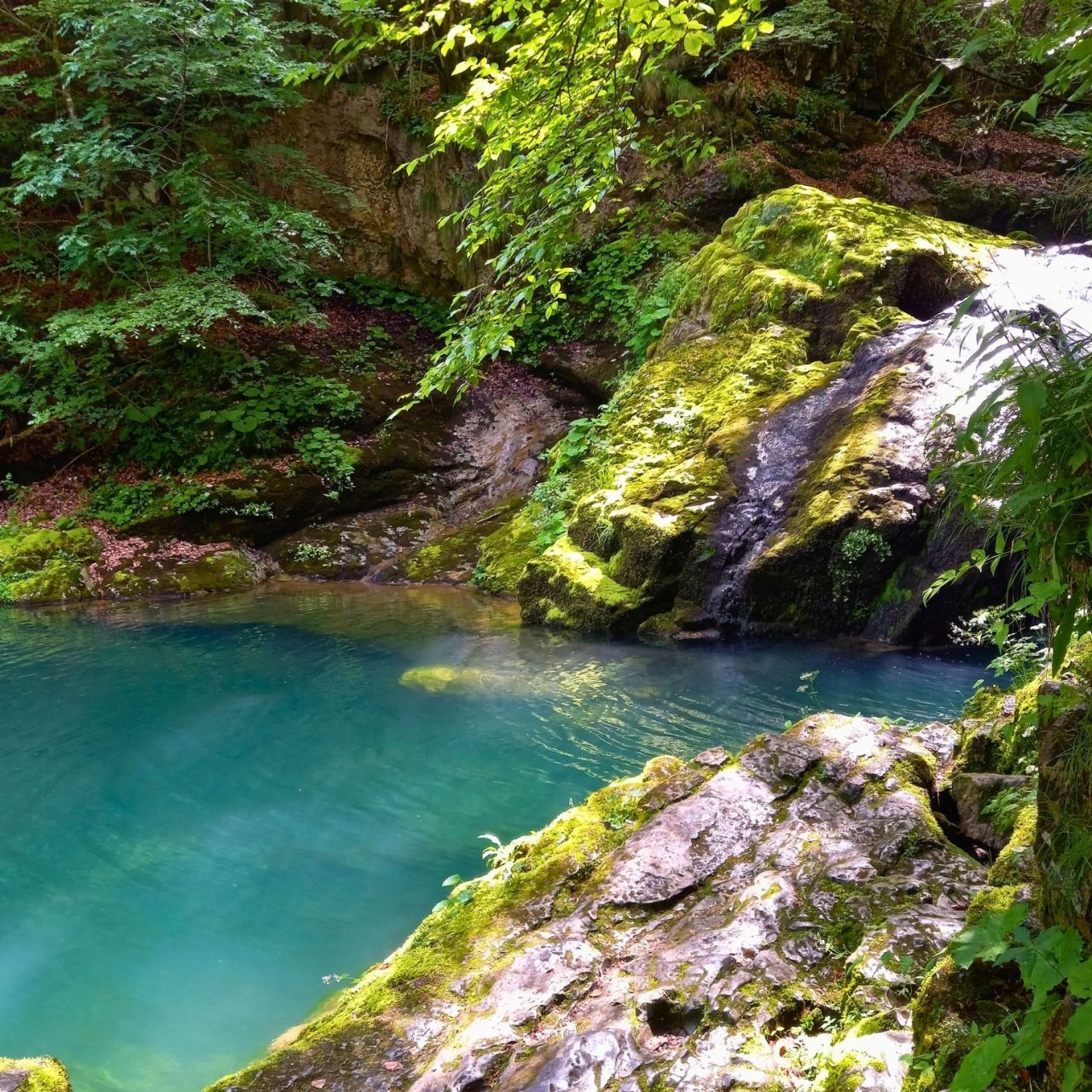 Zeleno srce Hrvatske – Gorski kotar