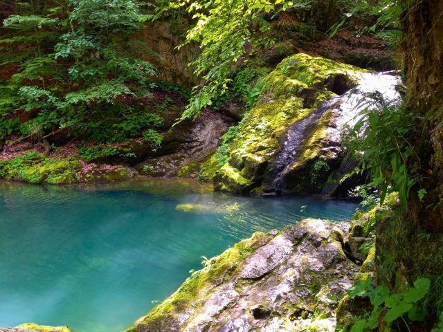 Zeleno srce Hrvatske – Gorski kotar