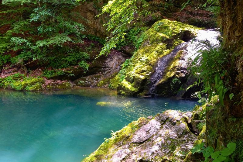 Zeleno srce Hrvatske – Gorski kotar